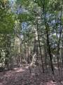 Lots A-1 & A-2 Stoney Point Burch Rd - Photo 18