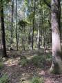 Lots A-1 & A-2 Stoney Point Burch Rd - Photo 19