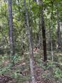 Lots A-1 & A-2 Stoney Point Burch Rd - Photo 21