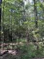 Lots A-1 & A-2 Stoney Point Burch Rd - Photo 22