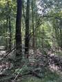 Lots A-1 & A-2 Stoney Point Burch Rd - Photo 23