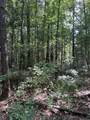 Lots A-1 & A-2 Stoney Point Burch Rd - Photo 24