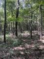 Lots A-1 & A-2 Stoney Point Burch Rd - Photo 25