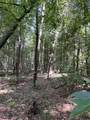 Lots A-1 & A-2 Stoney Point Burch Rd - Photo 26