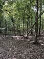Lots A-1 & A-2 Stoney Point Burch Rd - Photo 27