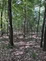 Lots A-1 & A-2 Stoney Point Burch Rd - Photo 28
