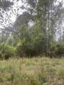 tract 1 Battle Rd - Photo 3