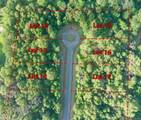 4045 Oak Run Dr - Photo 6