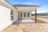 24256 Sharp Shinned Drive - Photo 29