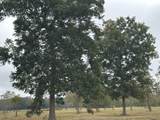 8874 Elton St - Photo 6