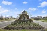 13751 Sweet Cherry Dr - Photo 46