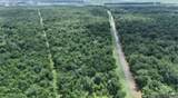  Greenwood Plantation Rd - Photo 12