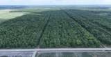  Greenwood Plantation Rd - Photo 13