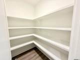 36214 Belle Parc Ave - Photo 7