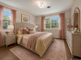 5823 Clematis Dr - Photo 22