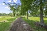 6676 Island Rd - Photo 31
