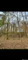 12718 Pittman Rd - Photo 6