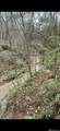 12718 Pittman Rd - Photo 7