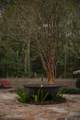 18202 Vis-A-Vis Ave - Photo 47