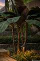 18202 Vis-A-Vis Ave - Photo 49