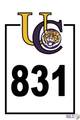 1802 Tiger Crossing Dr - Photo 4