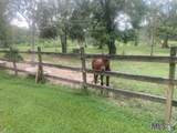 15151 Plank Rd - Photo 23