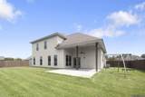 37441 Amalfi Dr - Photo 38