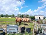 145 Bayou Blue Bypass Rd - Photo 4