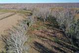 3902 Southdown Mandalay Road - Photo 41