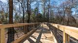 40085 Cypress View Road - Photo 36