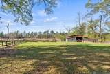 36569 Reinninger Rd - Photo 28