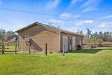 36569 Reinninger Rd - Photo 3