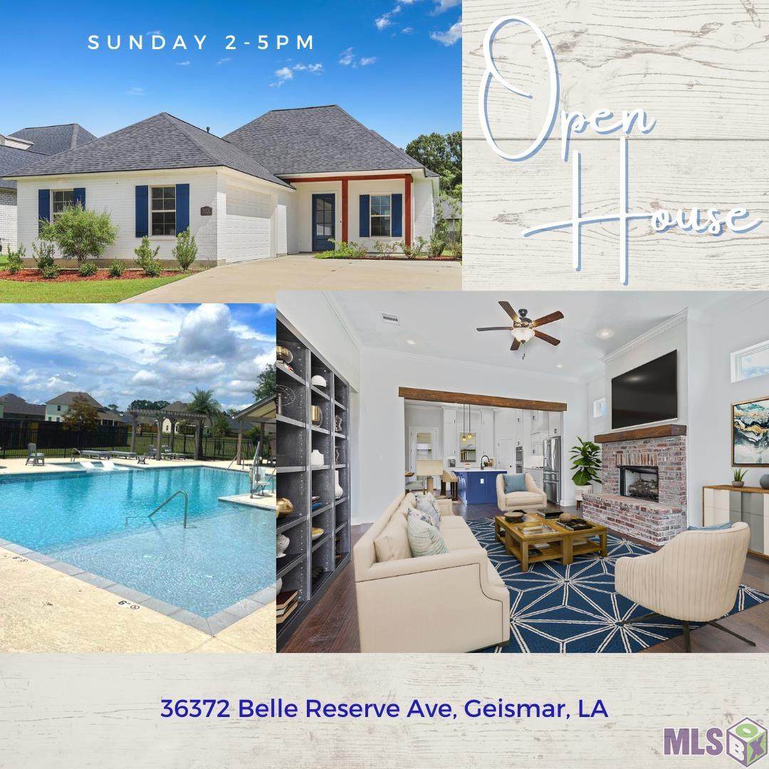 36372 Belle Reserve Ave - Photo 1