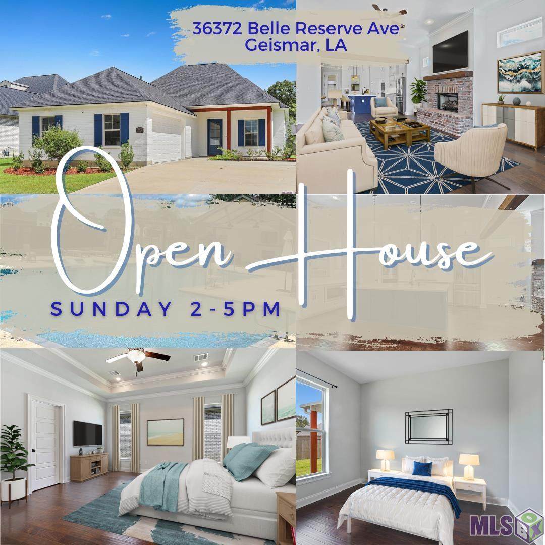 36372 Belle Reserve Ave - Photo 1