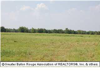 W5 Bayou Tommy Ln - Photo 1 W5 Bayou Tommy Ln - Photo 1