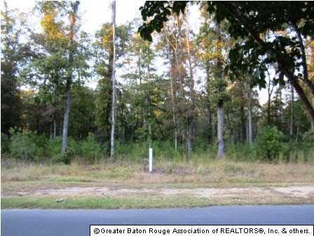 13969 Clubhouse Way Dr - Photo 1