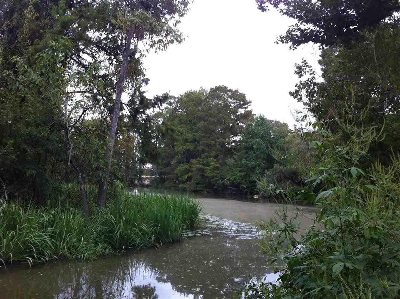 TBD - A Mccarrol Rd - Photo 1
