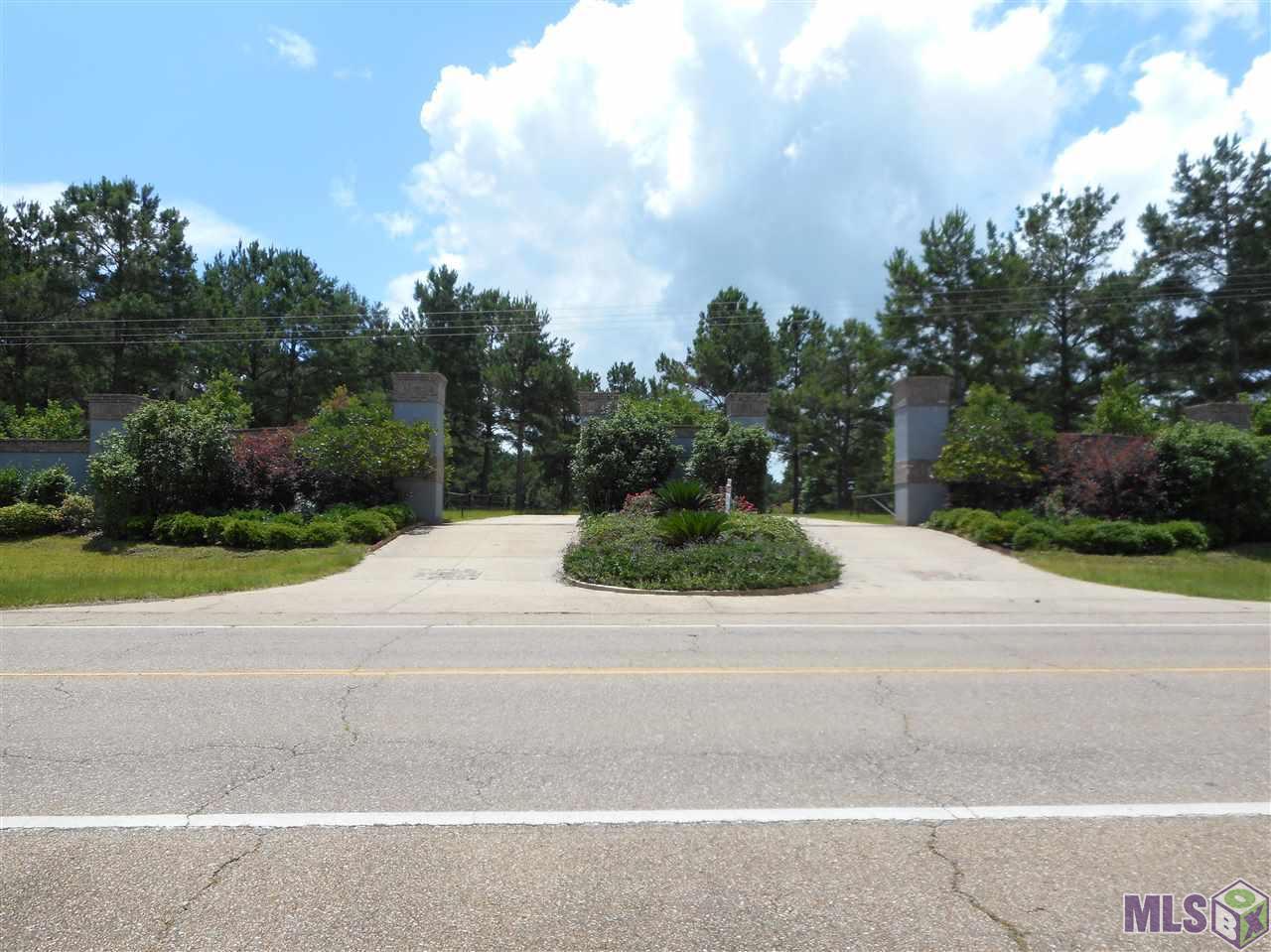 TBD-5 La Hwy 10 - Photo 1