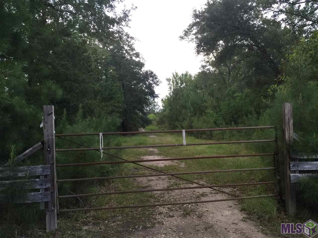 29303 James Chapel Rd - Photo 1