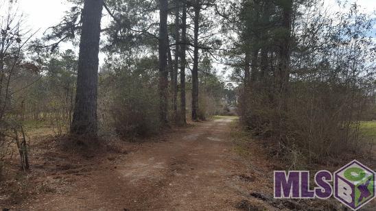 Lot 9 Springfield Rd - Photo 1