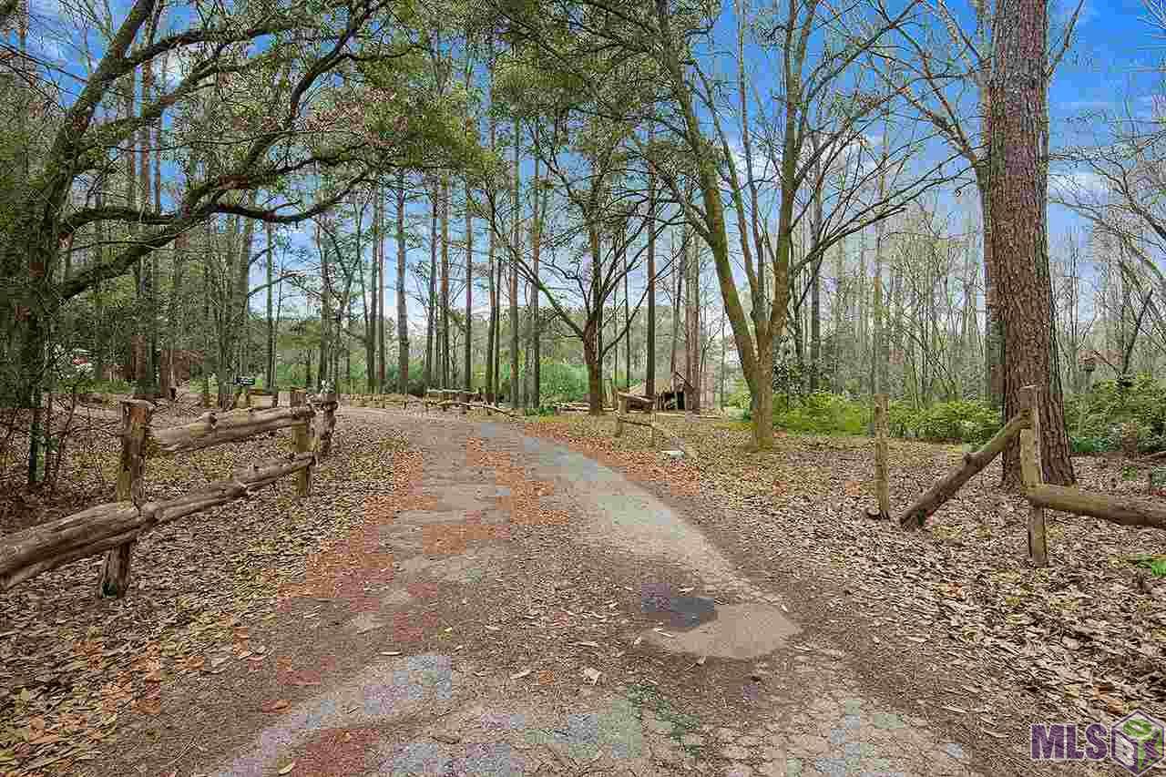 10789 Tunica Trace - Photo 1