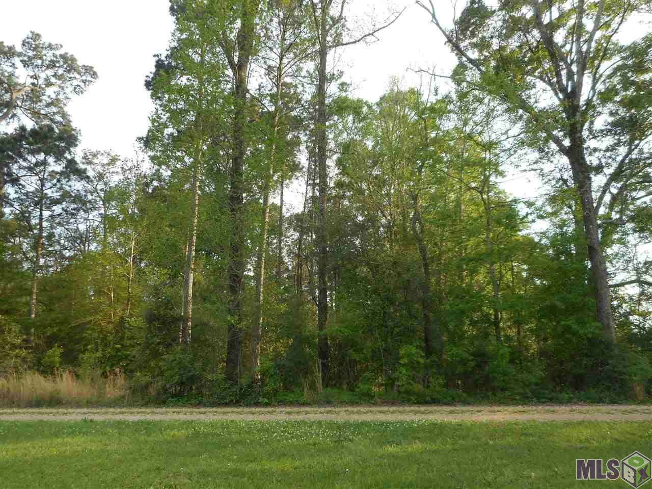 TBD Armin Hall Ln - Photo 1 TBD Armin Hall Ln - Photo 1