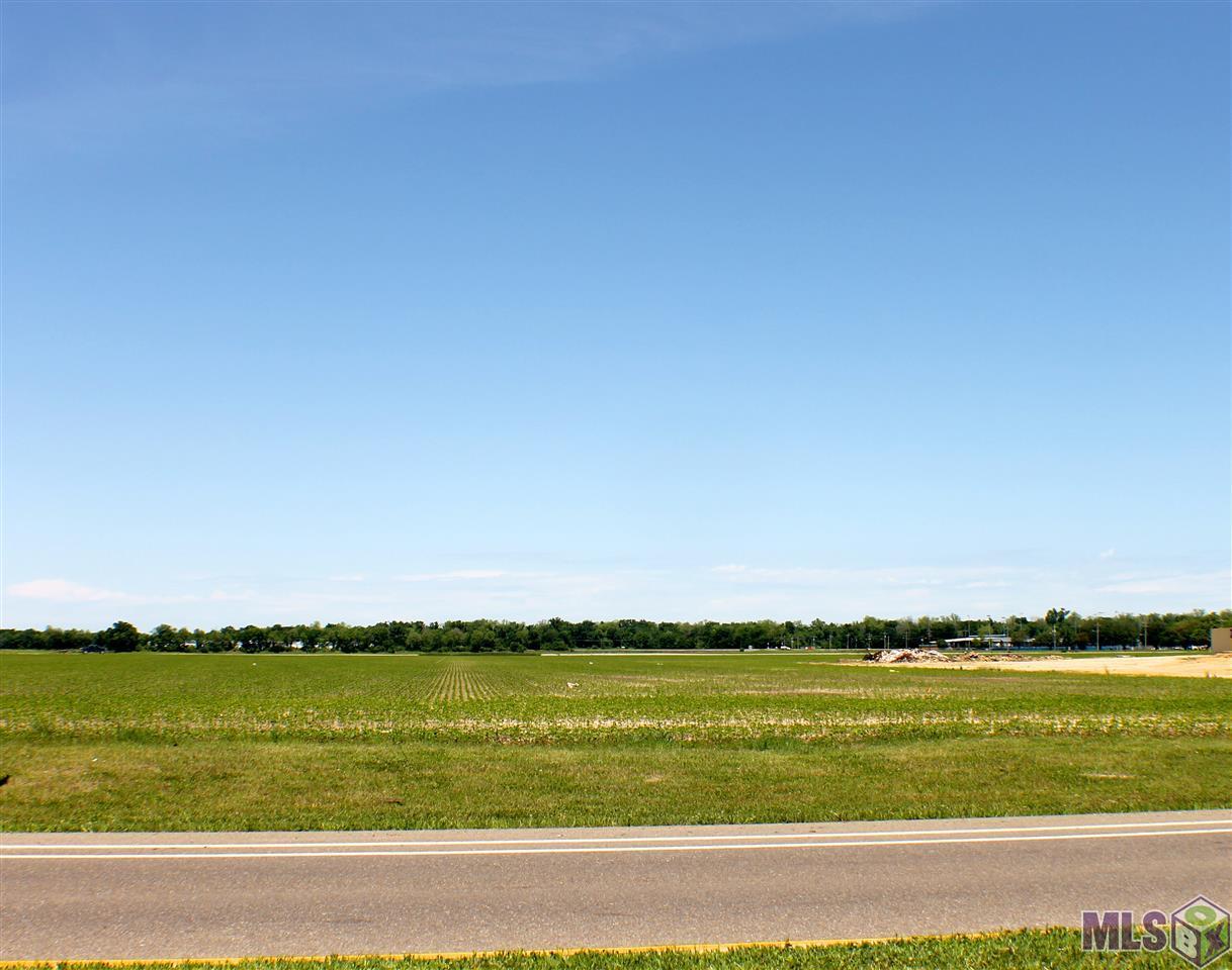 JOM21 Memorial Blvd - Photo 1