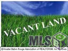 Lot 14 & 15 Swamp Rd - Photo 1