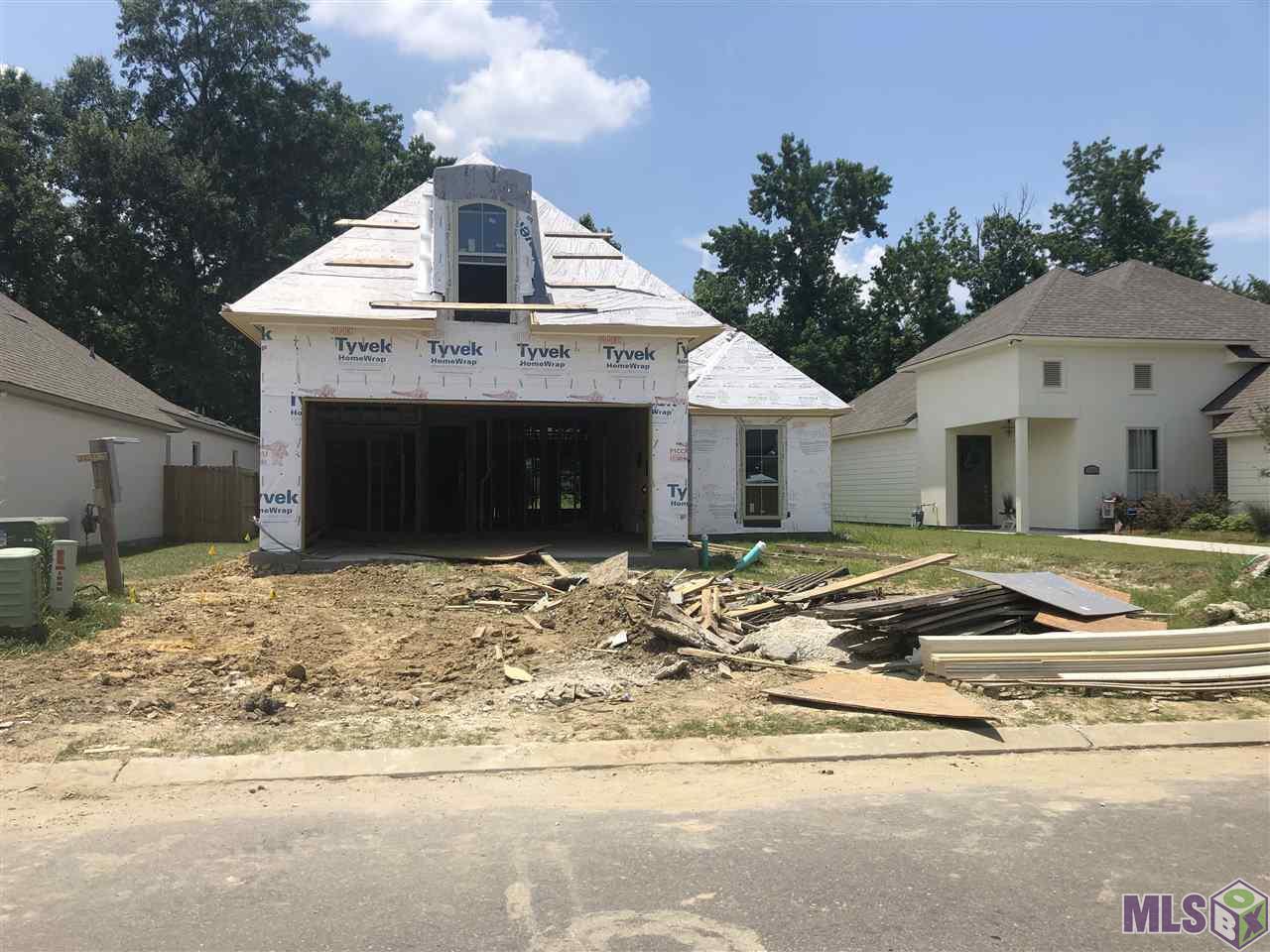 12173 Deventer Dr - Photo 1