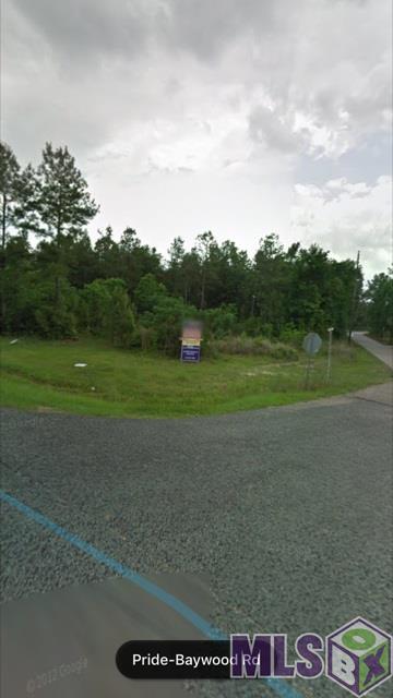 Pride-Baywood Rd - Photo 1