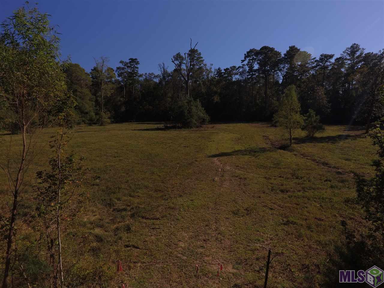 10885-10895 Billie Dr - Photo 1