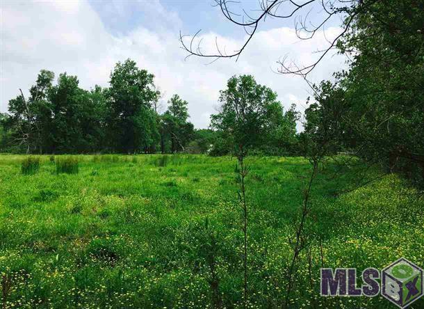37071 Miller Rd - Photo 1