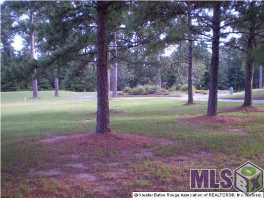 5918 Afton Villa Way - Photo 1