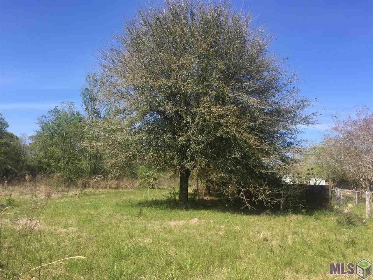 6575 Port Hudson Pride Rd - Photo 1